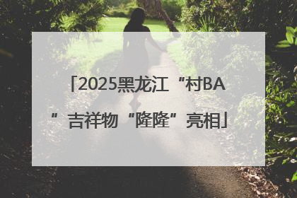 2025黑龙江“村BA”吉祥物“隆隆”亮相