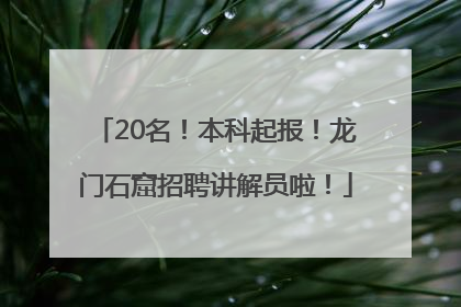 20名！本科起报！龙门石窟招聘讲解员啦！