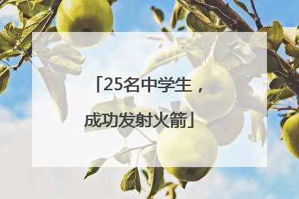 25名中学生，成功发射火箭