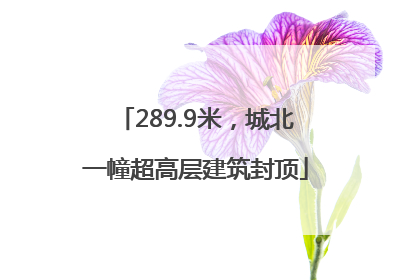289.9米，城北一幢超高层建筑封顶