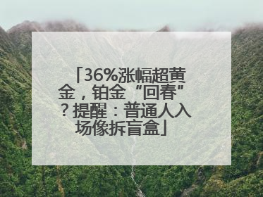 36%涨幅超黄金，铂金“回春”？提醒：普通人入场像拆盲盒