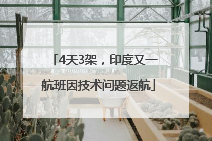4天3架，印度又一航班因技术问题返航
