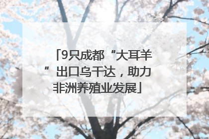 9只成都“大耳羊”出口乌干达，助力非洲养殖业发展
