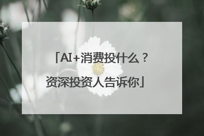 AI+消费投什么？资深投资人告诉你