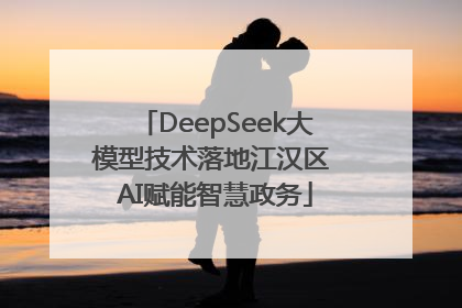 DeepSeek大模型技术落地江汉区 AI赋能智慧政务